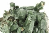 Green, Hedenbergite Included Quartz on Ilvaite - Mongolia #226198-2